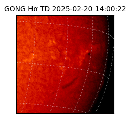 gong - 2025-02-20T14:00:22