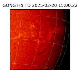 gong - 2025-02-20T15:00:22