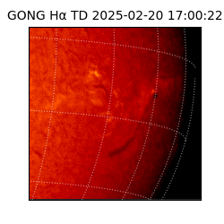 gong - 2025-02-20T17:00:22