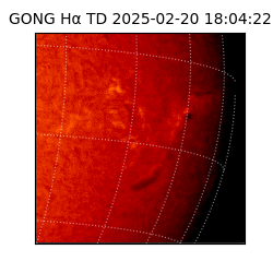 gong - 2025-02-20T18:04:22
