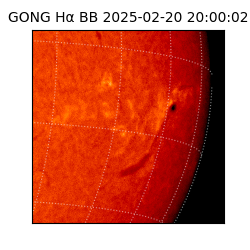 gong - 2025-02-20T20:00:02
