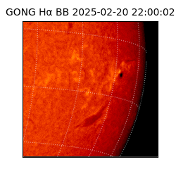 gong - 2025-02-20T22:00:02