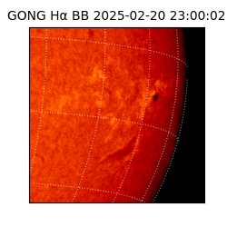 gong - 2025-02-20T23:00:02
