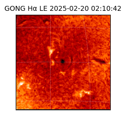 gong - 2025-02-20T02:10:42