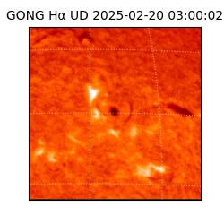 gong - 2025-02-20T03:00:02
