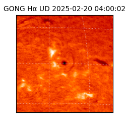 gong - 2025-02-20T04:00:02