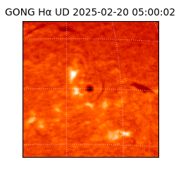 gong - 2025-02-20T05:00:02