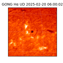gong - 2025-02-20T06:00:02