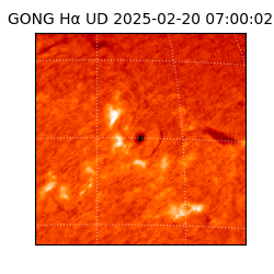 gong - 2025-02-20T07:00:02