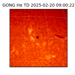 gong - 2025-02-20T09:00:22