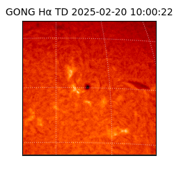 gong - 2025-02-20T10:00:22