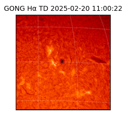 gong - 2025-02-20T11:00:22