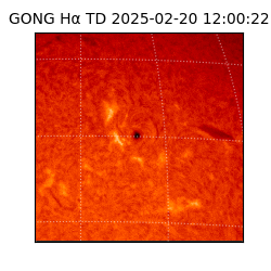 gong - 2025-02-20T12:00:22