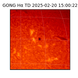 gong - 2025-02-20T15:00:22