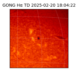 gong - 2025-02-20T18:04:22