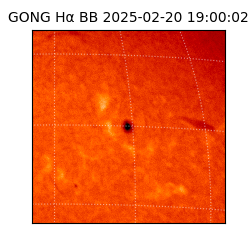 gong - 2025-02-20T19:00:02