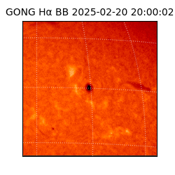 gong - 2025-02-20T20:00:02