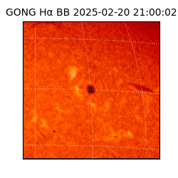 gong - 2025-02-20T21:00:02