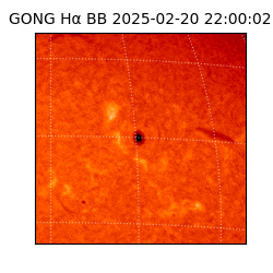 gong - 2025-02-20T22:00:02