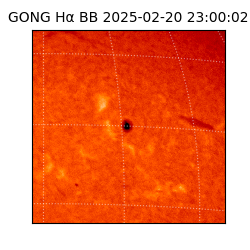 gong - 2025-02-20T23:00:02