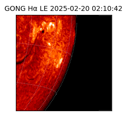gong - 2025-02-20T02:10:42