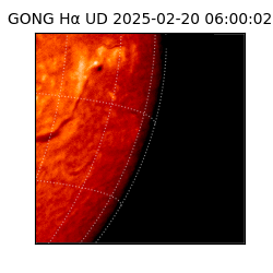 gong - 2025-02-20T06:00:02