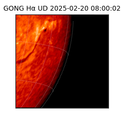 gong - 2025-02-20T08:00:02