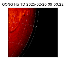 gong - 2025-02-20T09:00:22
