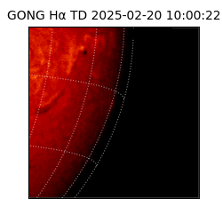 gong - 2025-02-20T10:00:22