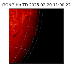 gong - 2025-02-20T11:00:22
