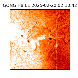 gong - 2025-02-20T02:10:42
