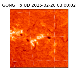gong - 2025-02-20T03:00:02