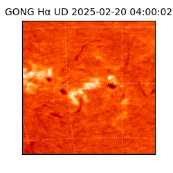 gong - 2025-02-20T04:00:02