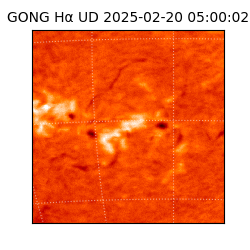 gong - 2025-02-20T05:00:02