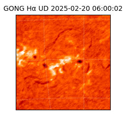 gong - 2025-02-20T06:00:02