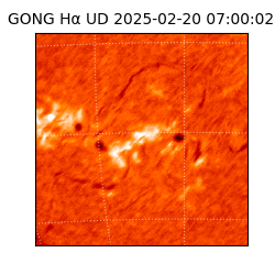 gong - 2025-02-20T07:00:02