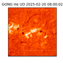 gong - 2025-02-20T08:00:02