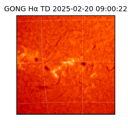 gong - 2025-02-20T09:00:22