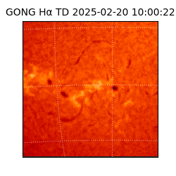 gong - 2025-02-20T10:00:22