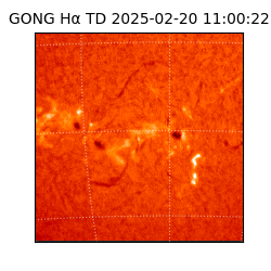 gong - 2025-02-20T11:00:22