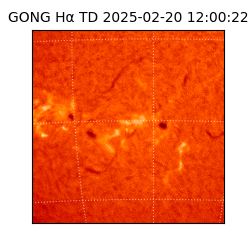 gong - 2025-02-20T12:00:22