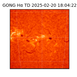 gong - 2025-02-20T18:04:22