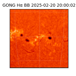 gong - 2025-02-20T20:00:02