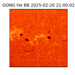 gong - 2025-02-20T21:00:02