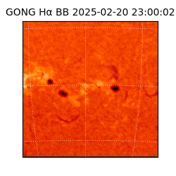 gong - 2025-02-20T23:00:02