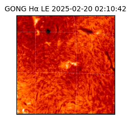 gong - 2025-02-20T02:10:42