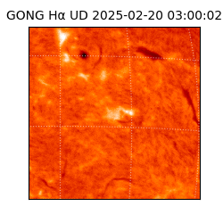 gong - 2025-02-20T03:00:02