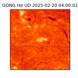 gong - 2025-02-20T04:00:02