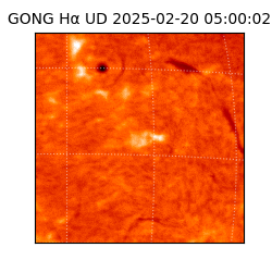 gong - 2025-02-20T05:00:02