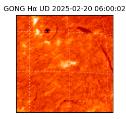 gong - 2025-02-20T06:00:02